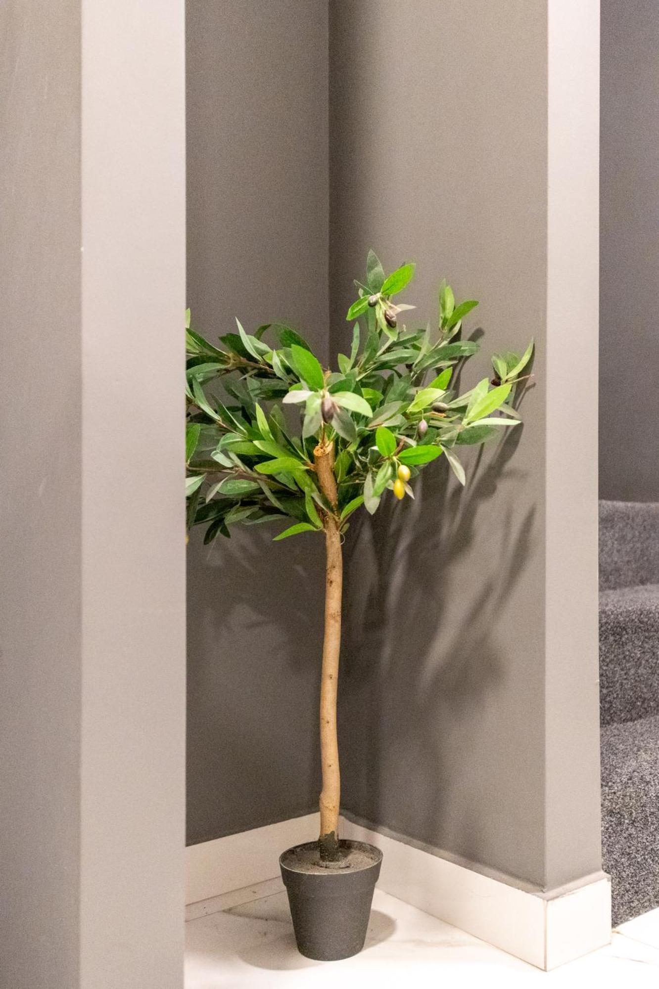 Athenian Boutique Apartments Bagian luar foto